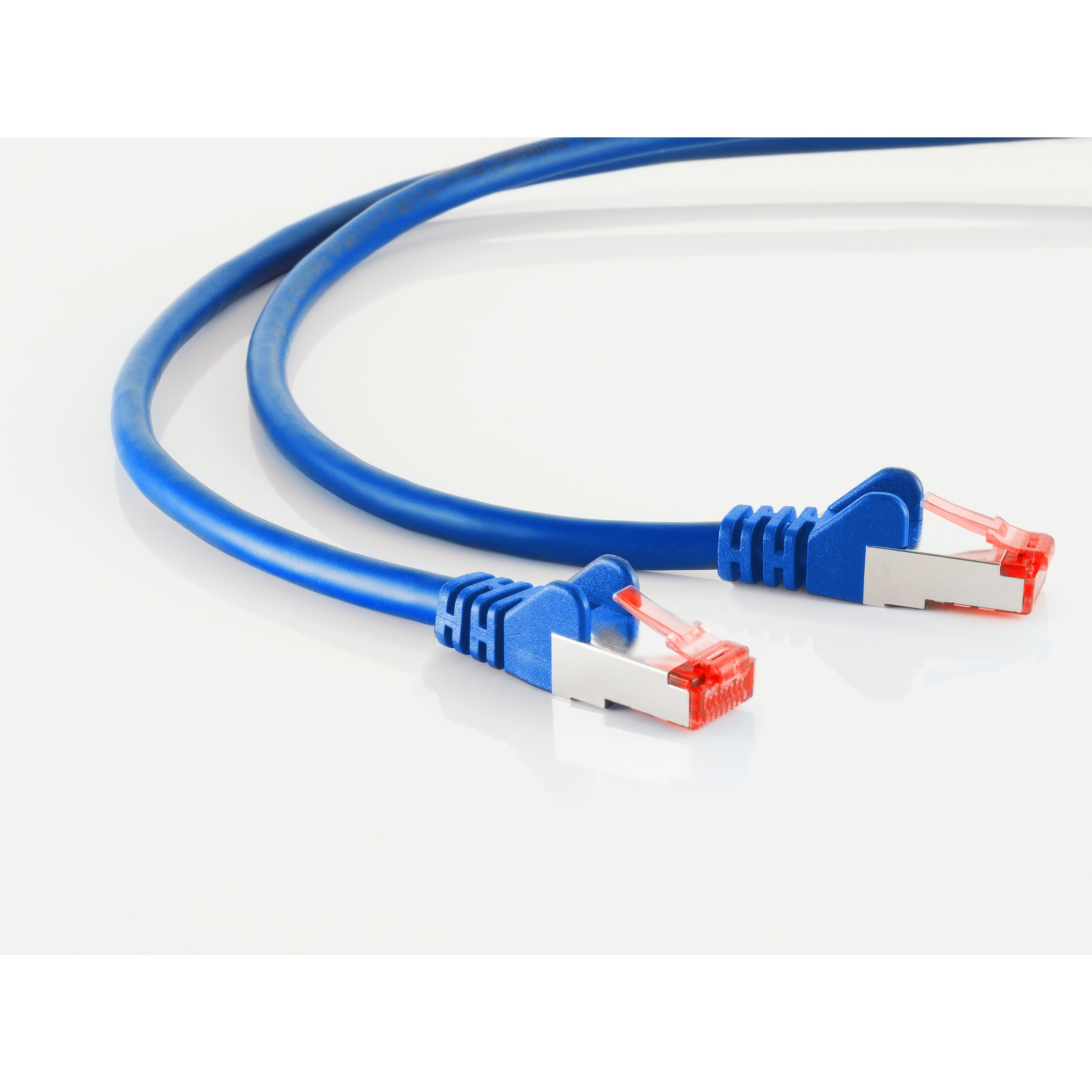 Due cavi Ethernet blu con connettori blu e argento, su una superficie bianca. I cavi sono curvi.
