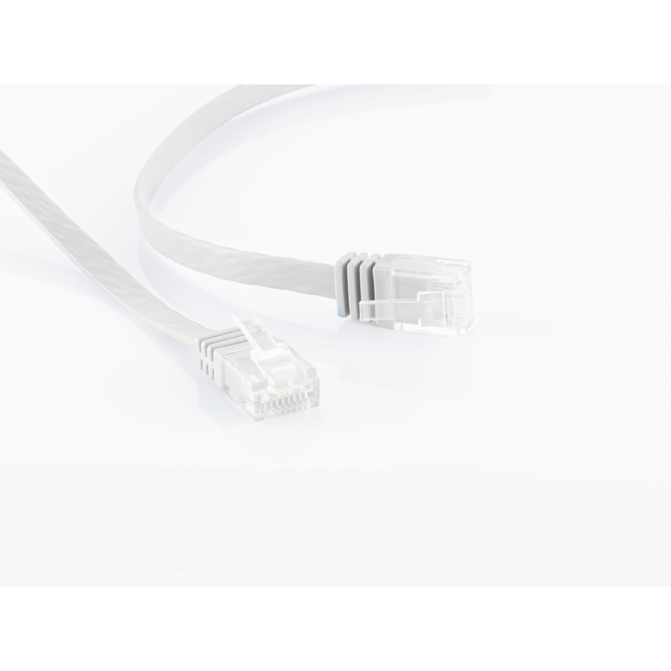 Due cavi Ethernet grigio chiaro con connettori trasparenti su sfondo bianco.