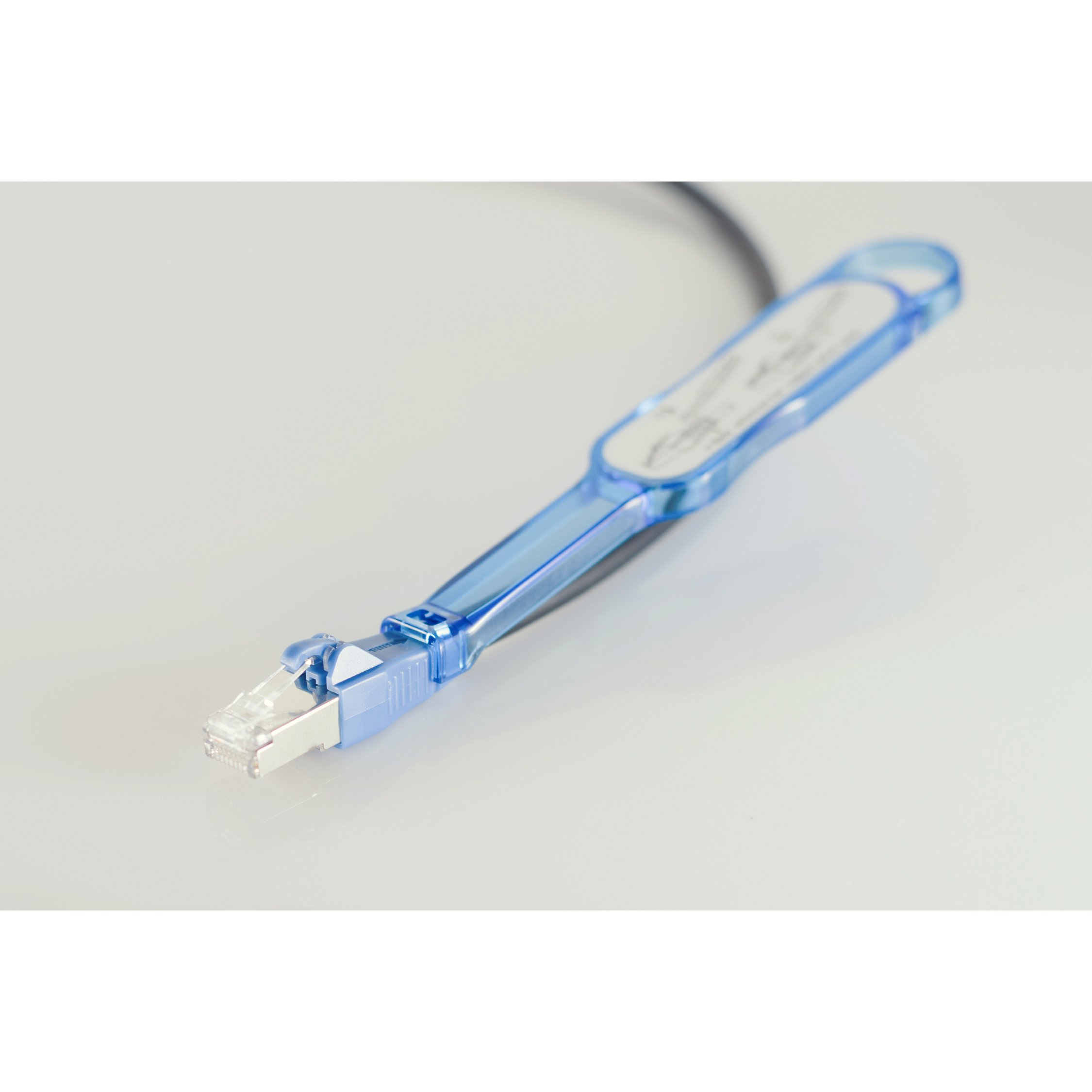 Un cavo connettore RJ45 blu su una superficie bianca.