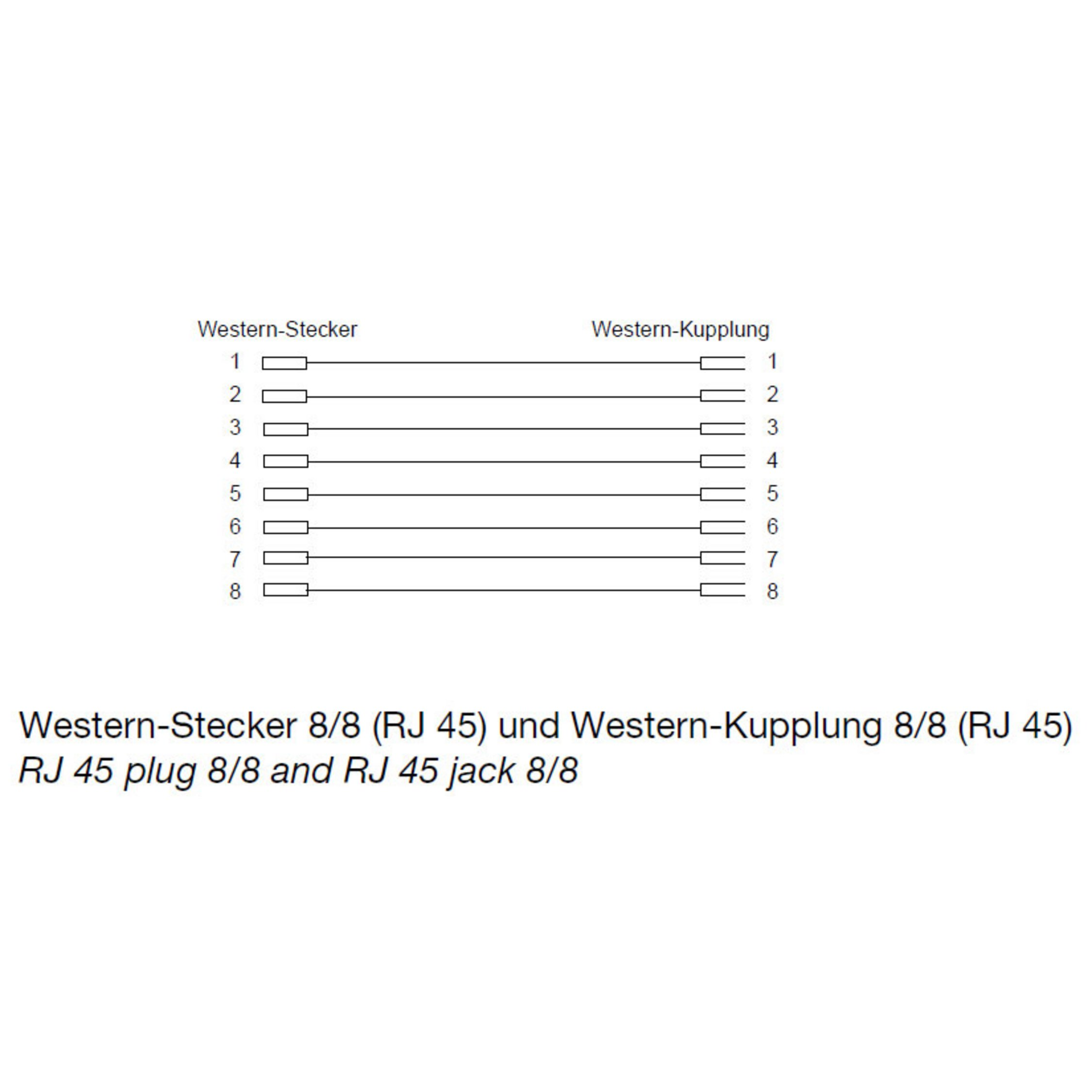Diagramm von RJ45-Stecker und -Buchse, mit nummerierten Pins und Beschriftungen auf Englisch und Deutsch. Weißer Hintergrund.