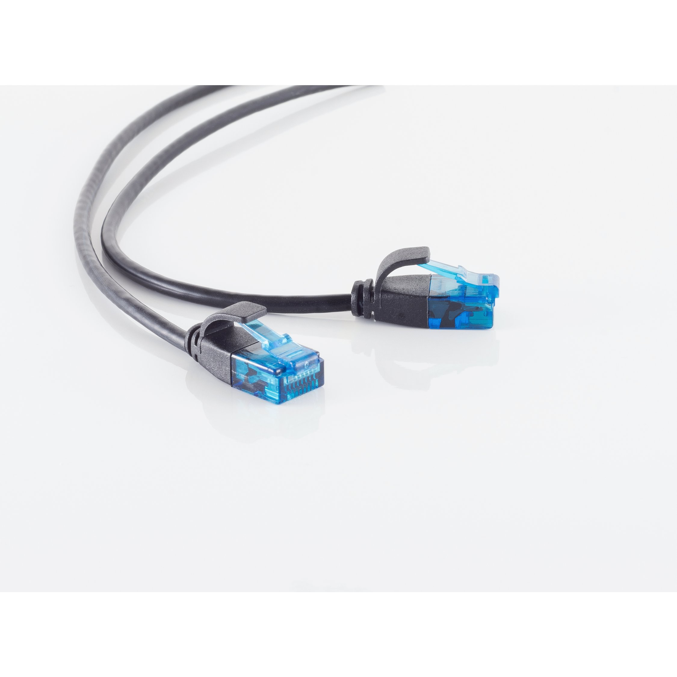 Schwarzes Netzwerkkabel mit blauen Steckern auf weißem Untergrund.