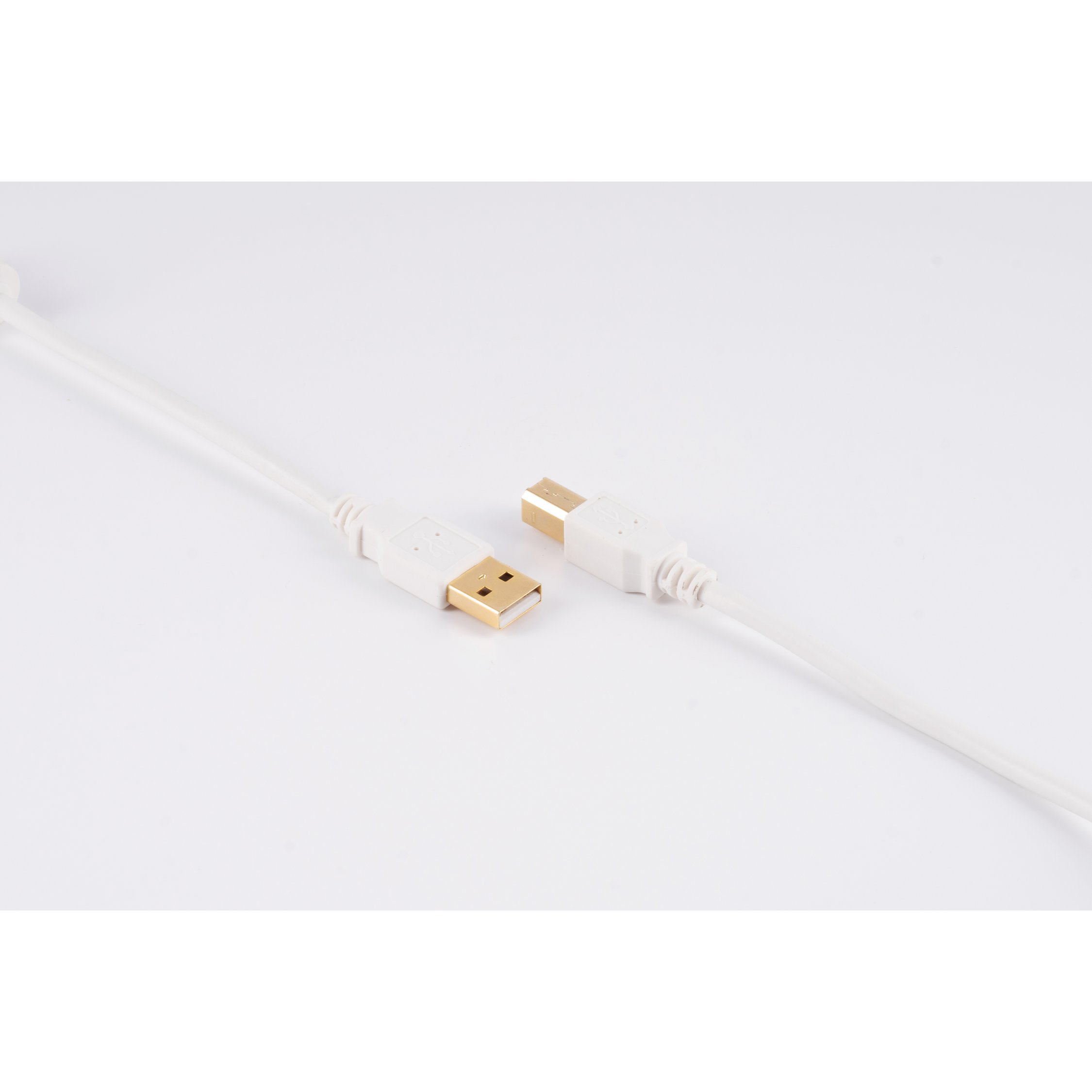 Zwei weiße USB-Kabel, mit einem goldenen USB-A-Anschluss, auf weißem Hintergrund. Sie verlaufen parallel.