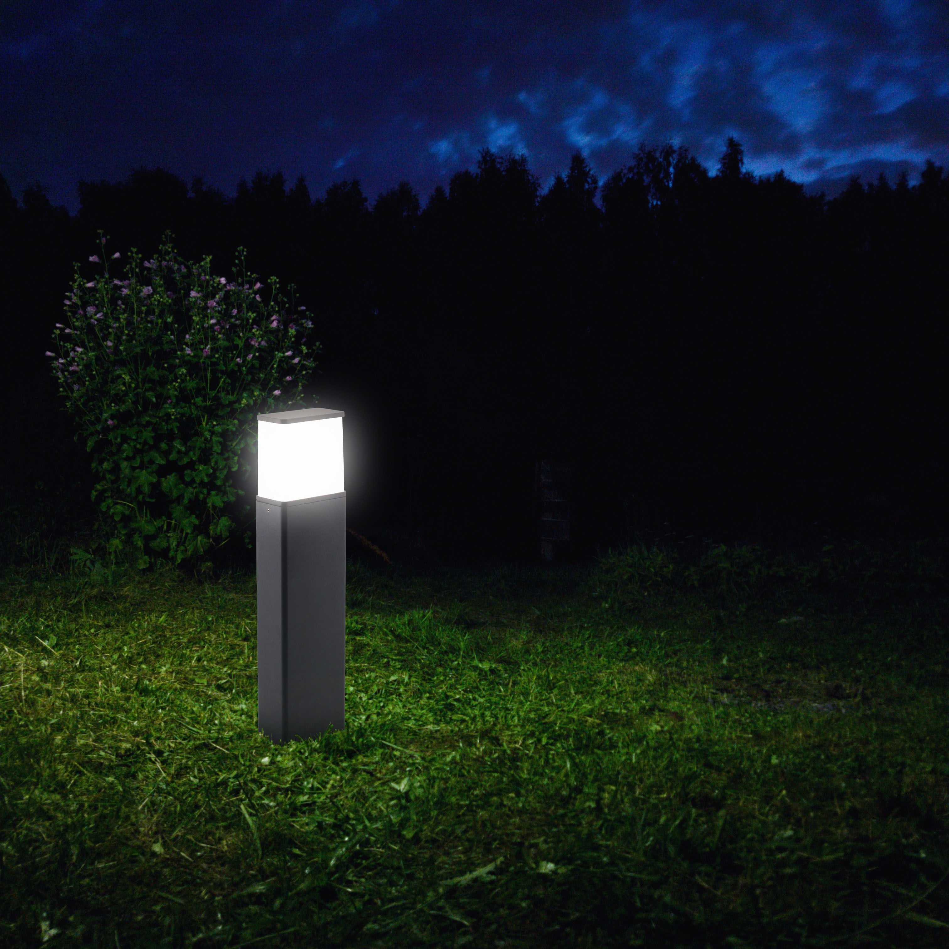 Außenlaterne im Gras, nachts beleuchtet, mit dunklen Bäumen und dunklem Himmel im Hintergrund.