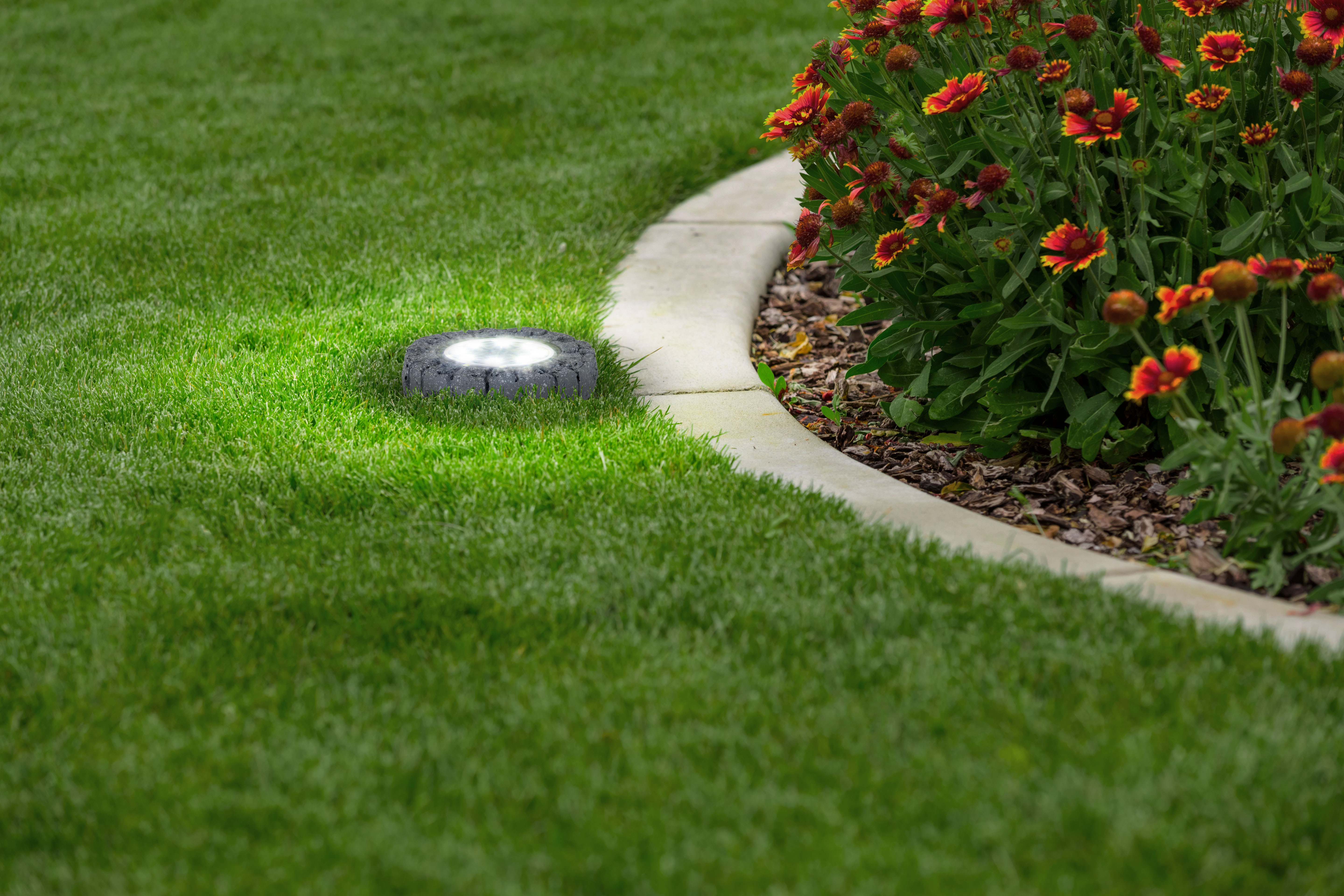 Garten-Spotlicht auf Gras, mit Pflanzen und Steinbordüre.