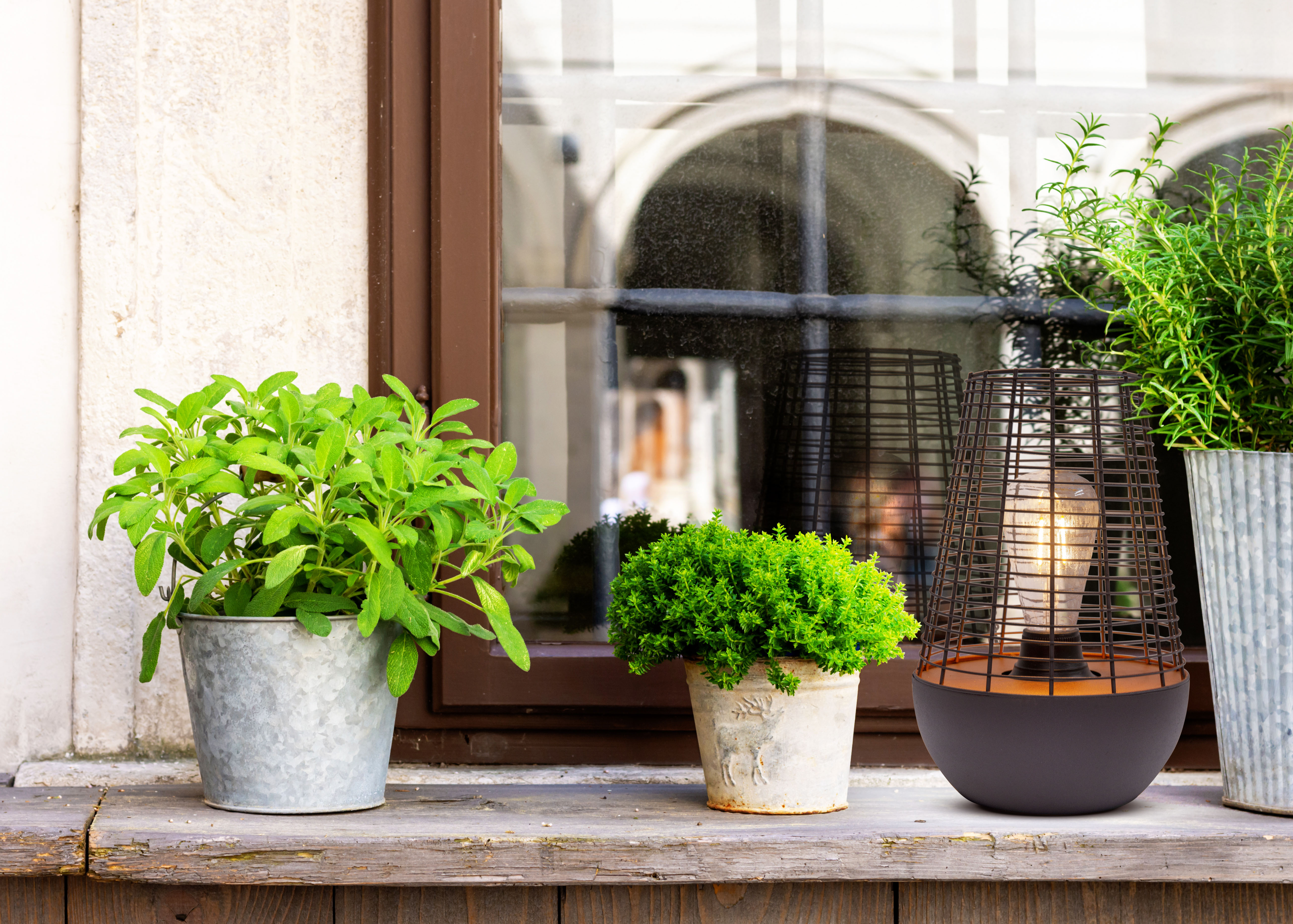 Pflanzen auf der Fensterbank: Salbei, Thymian und eine Lampe mit Käfig.