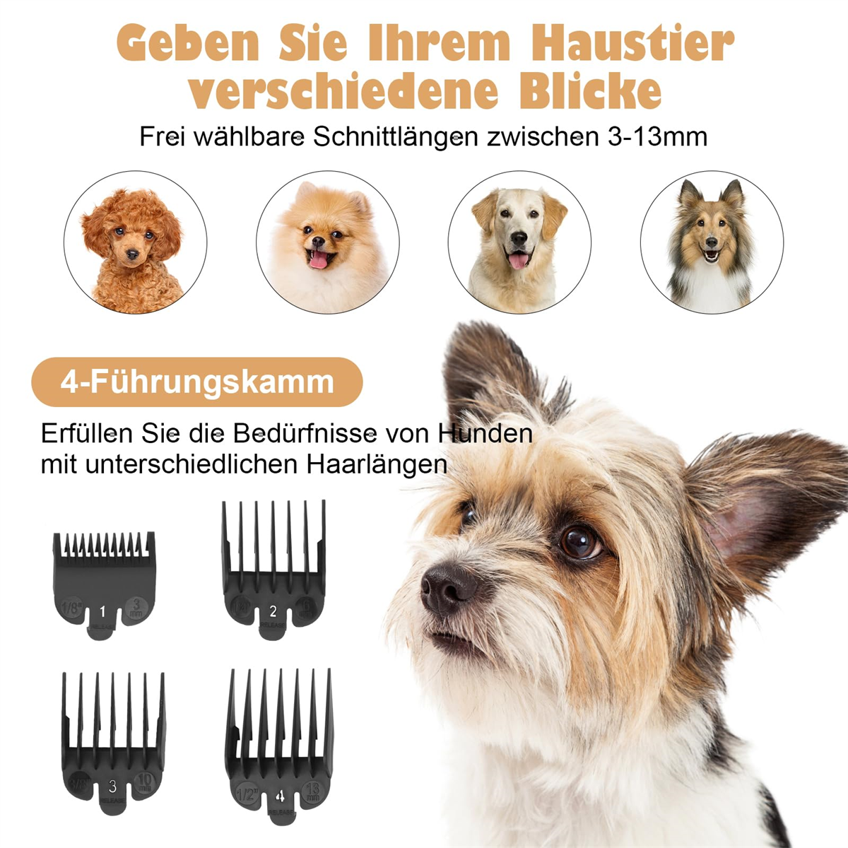 Ein Hunde-Pflegeset mit Schermaschine und Führungskämmen. Hunde verschiedener Rassen sind im Bild.