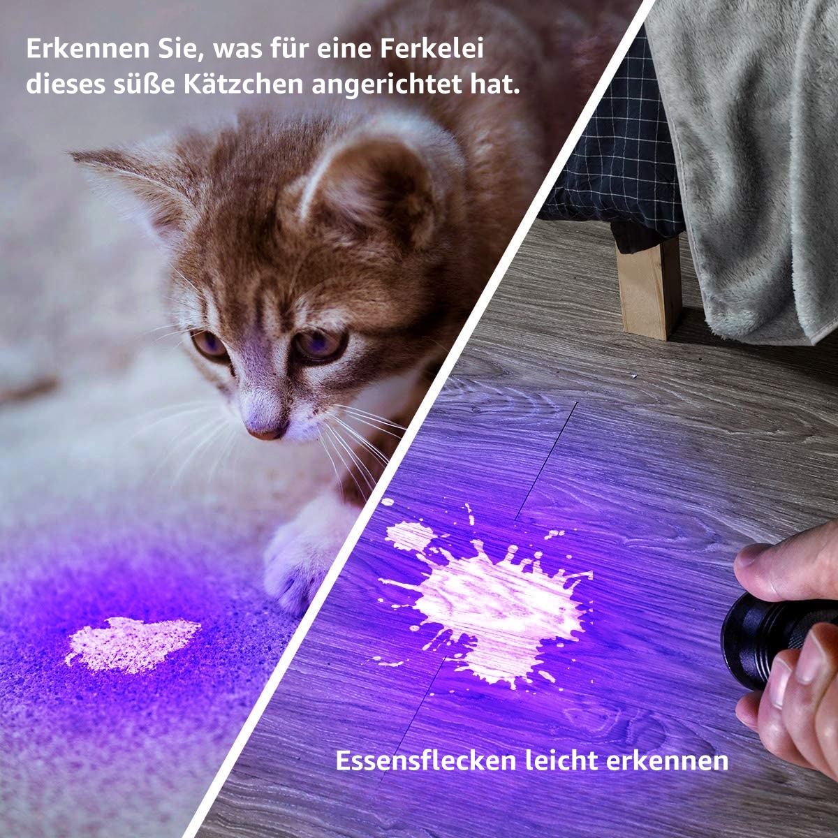 Katze betrachtet Fleck unter UV-Licht. Das Licht zeigt Essensflecken auf dem Boden.
