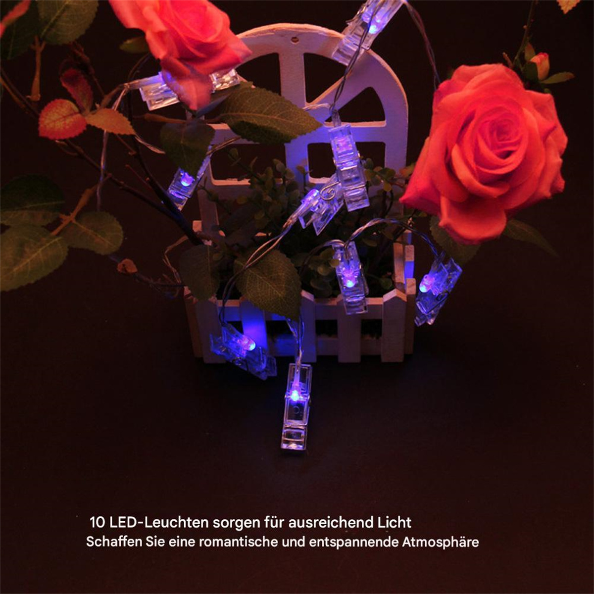 Eine Anordnung aus Rosen und Lichterketten. Die Lichter sind blau und die Rosen rot.
