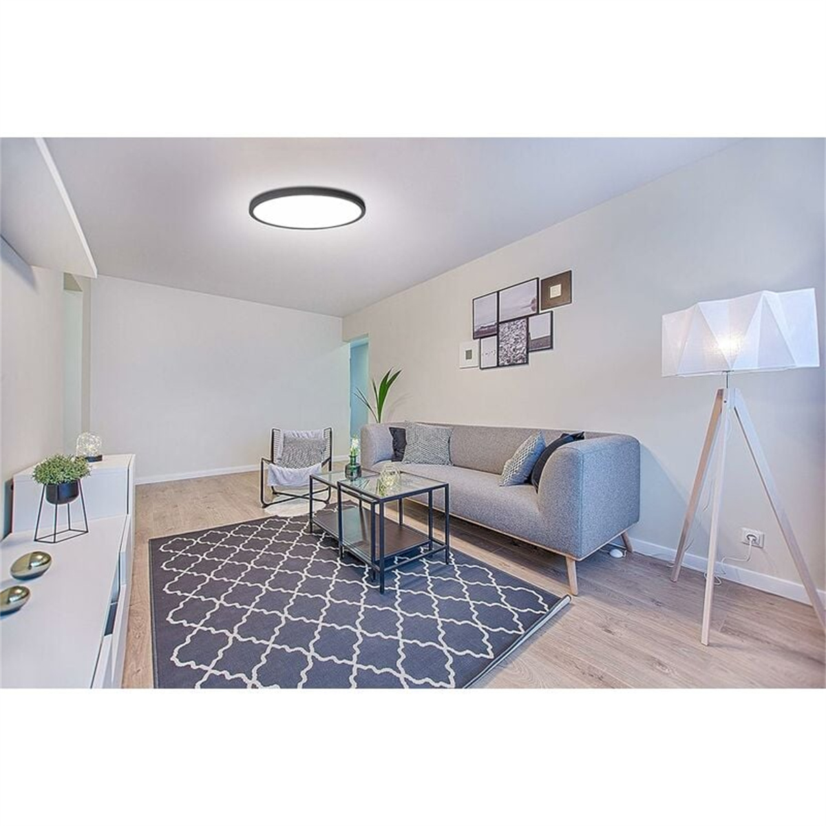 Ein modernes Wohnzimmer mit Deckenleuchte, Sofa, Teppich und Stehlampe.