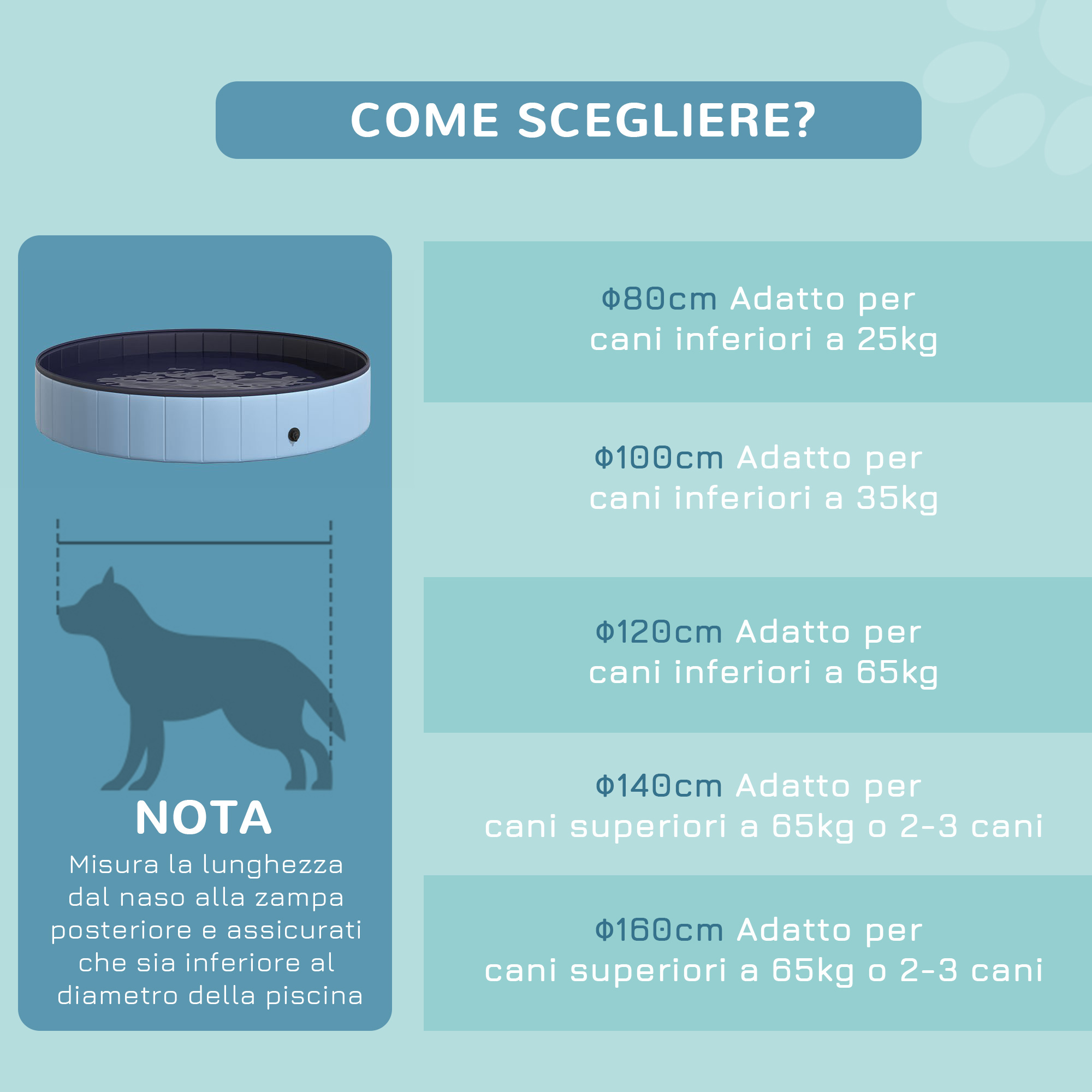 Un'infografica che mostra la taglia del cane in base al diametro della piscina, con testo in italiano.