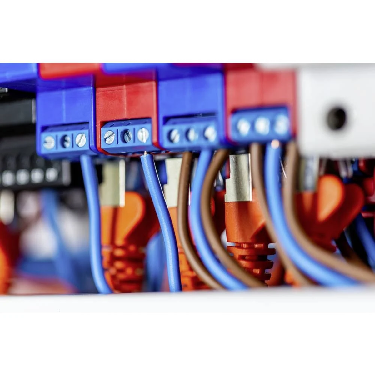 Zbliżenie okablowania elektrycznego. Czerwone i niebieskie przewody podłączone do zacisków.