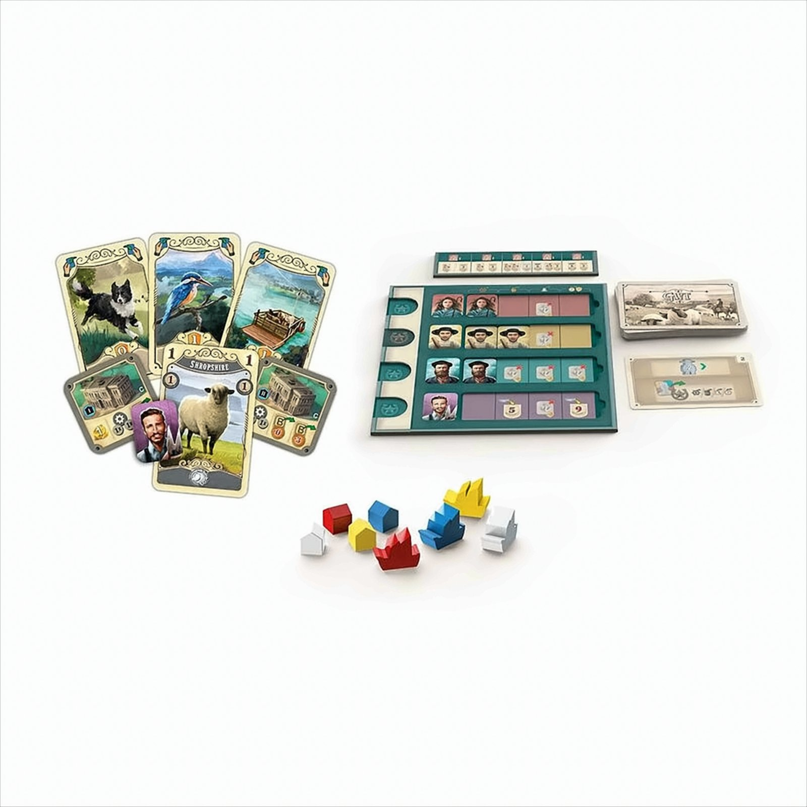 Brettspiel mit Karten, Spielsteinen und Spielbrett. Karten haben Bilder und Text. Das Spielbrett ist grün.