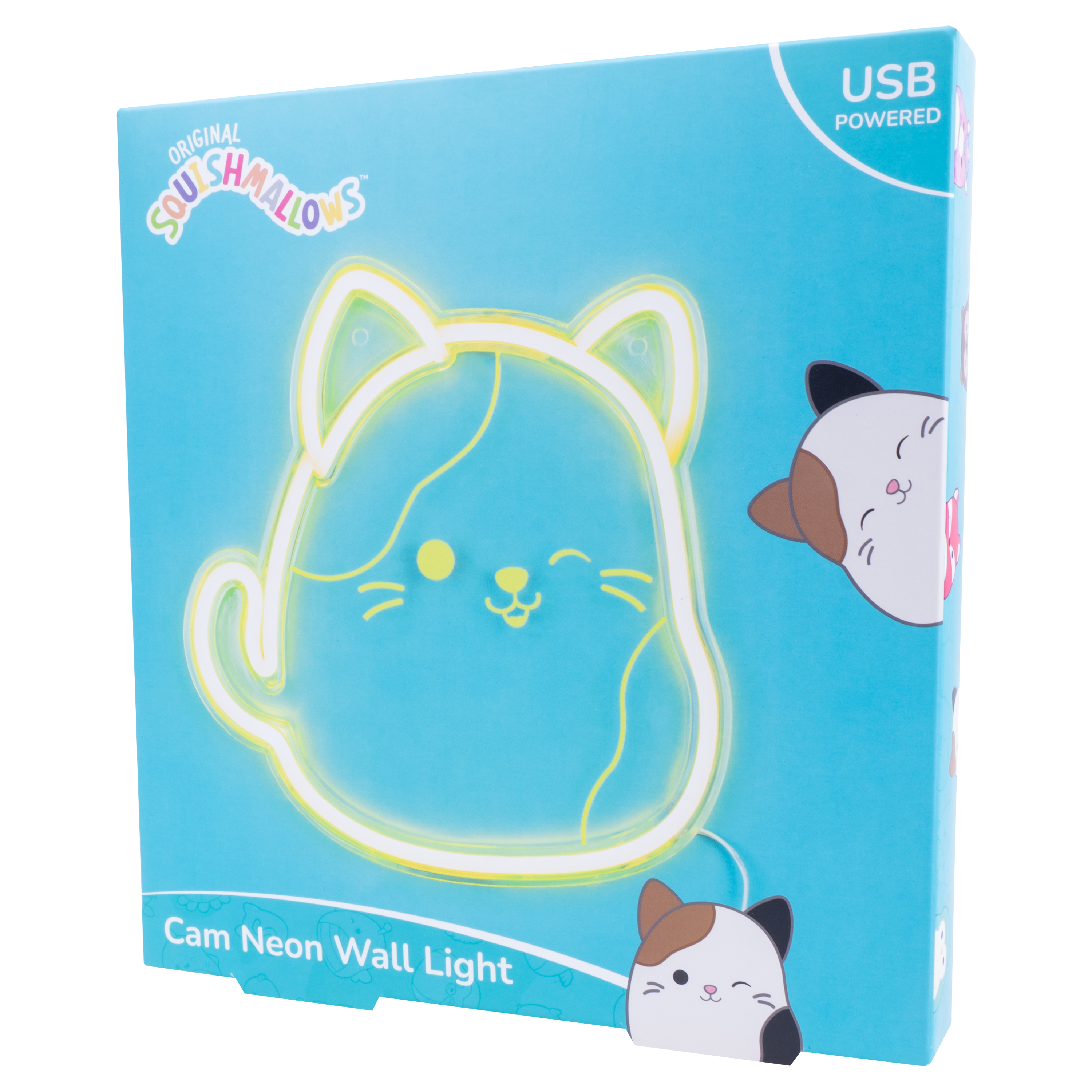 Doos met een katten neon wandlamp, kattenillustratie op de doos, op een witte achtergrond.