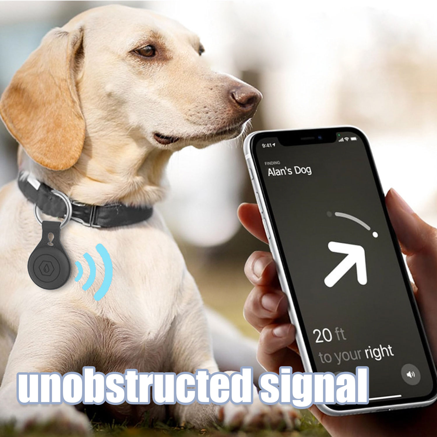 Hund mit Tracker am Halsband, Telefon zeigt Standort.