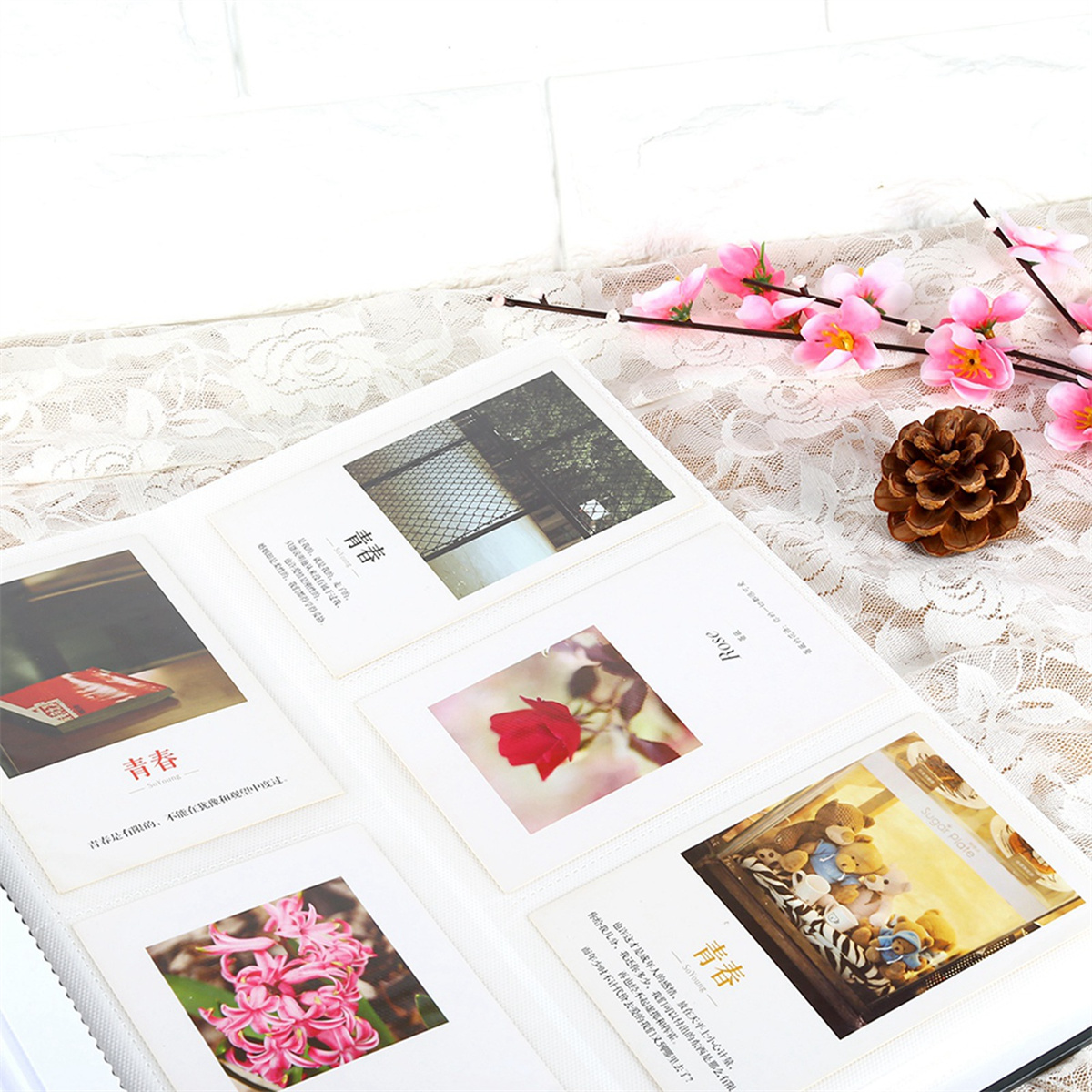 Fotoalbum mit Fotos. Fotos zeigen rote Blume, Ansicht und Teddybären. Weißer Hintergrund.