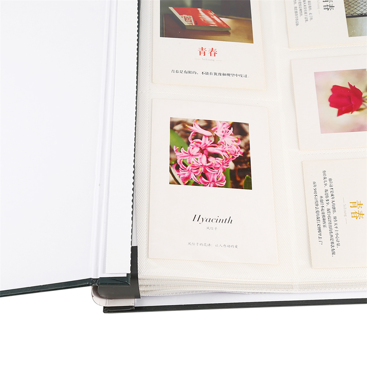 Fotoalbum geöffnet auf einer Seite mit Fotos. Ein Foto von rosa Blumen ist sichtbar.