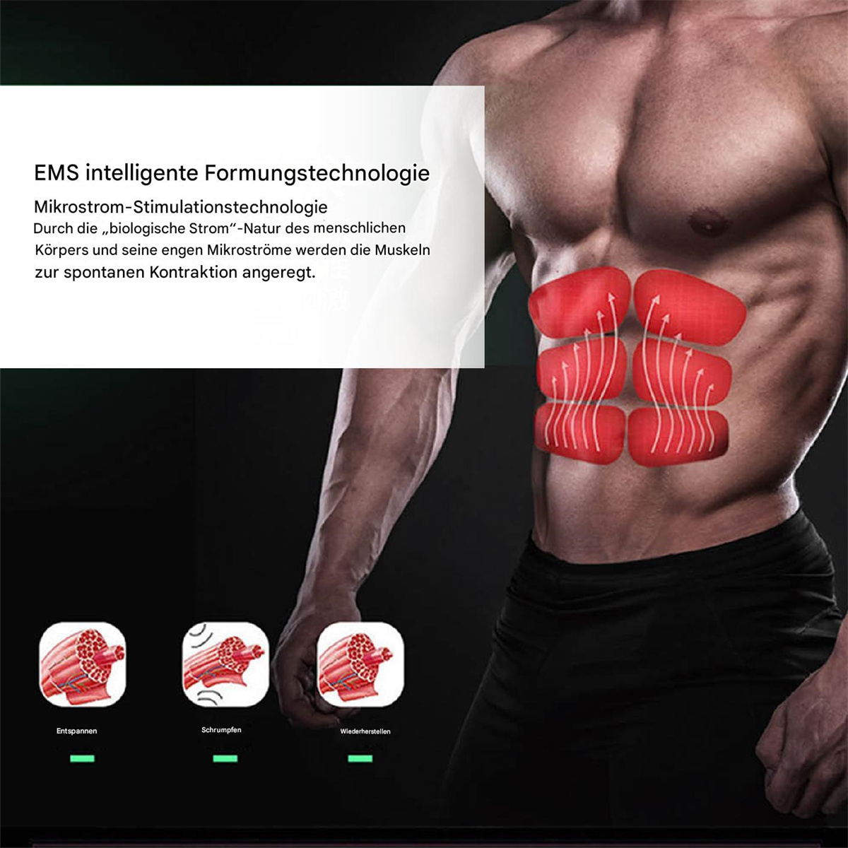 Torso eines Mannes mit Muskelillustrationen, Text über EMS.