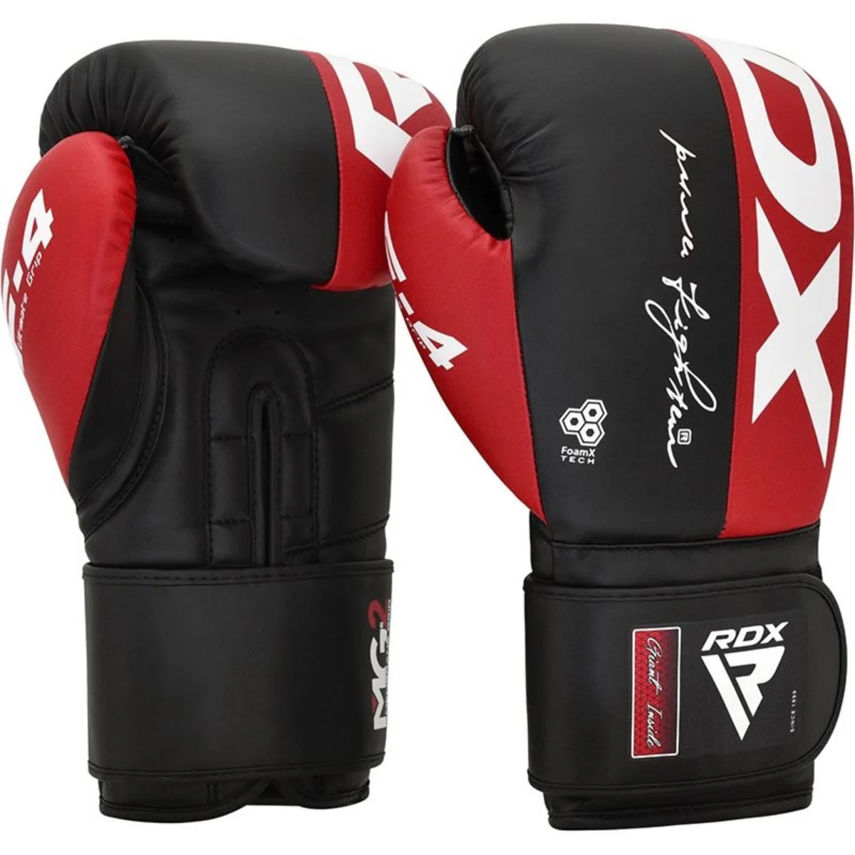 Pair of black and red boxing gloves with white accents. They have writing and a logo.