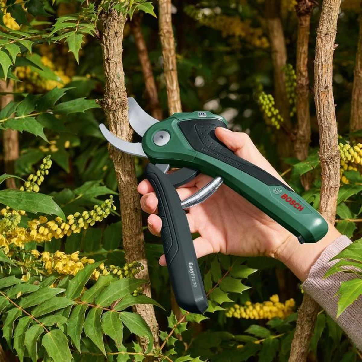 BOSCH EasyPrune Şarjlı Budama Makası