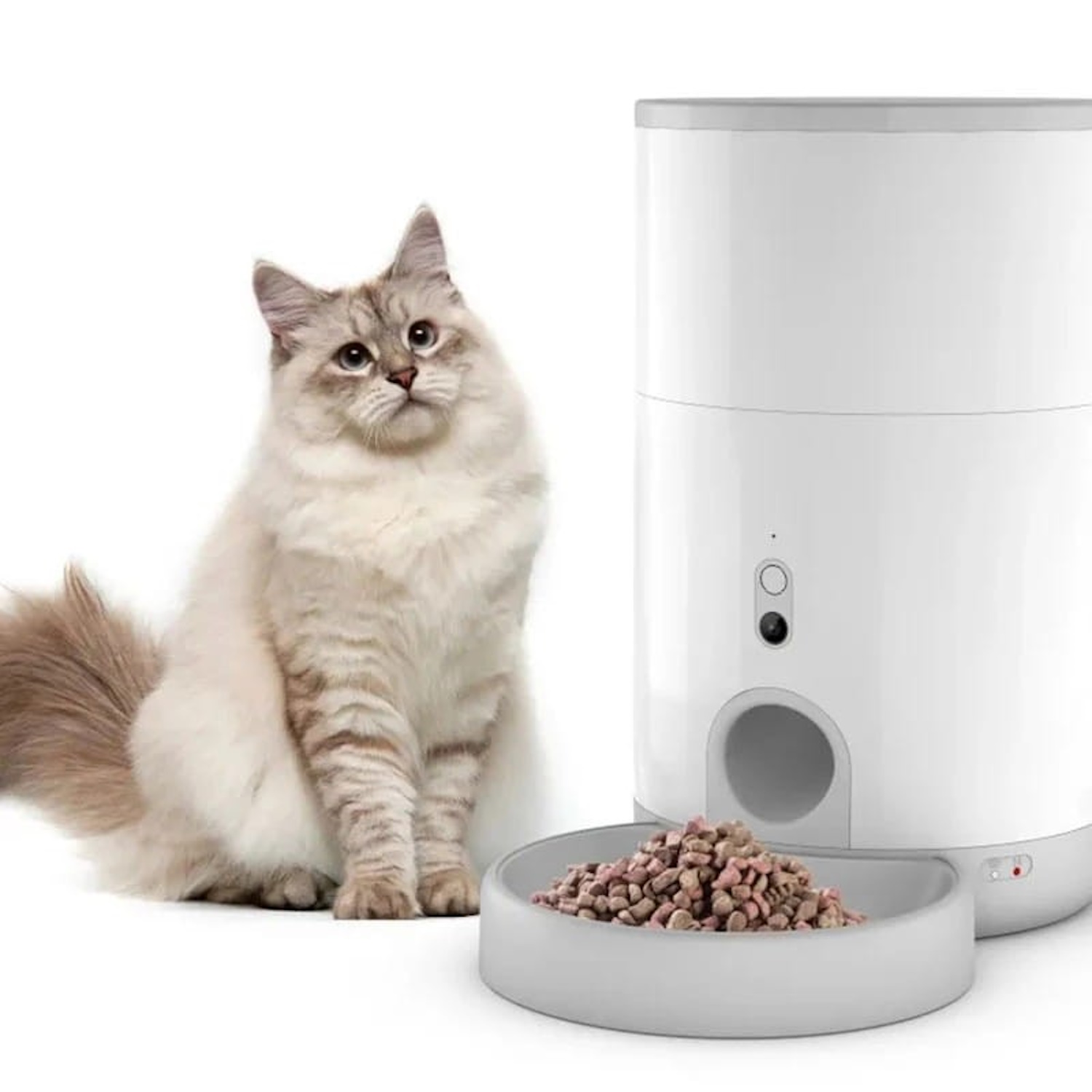 Un gato se sienta cerca de un dispensador de comida para mascotas blanco con un cuenco de pienso.