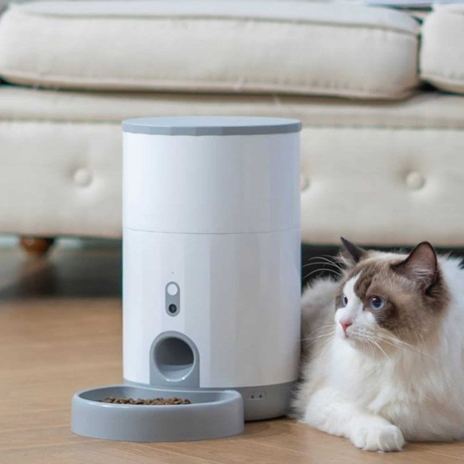 Un comedero automático para mascotas blanco y gris con un gato cerca.