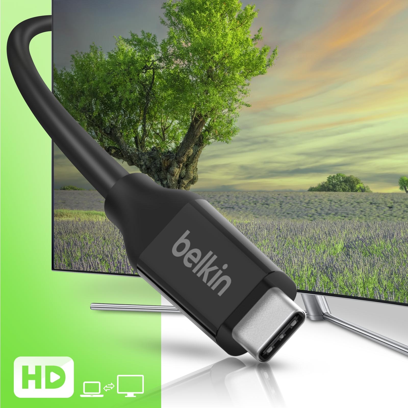 Un cavo USB-C nero collegato a uno schermo che mostra un campo e il cielo.