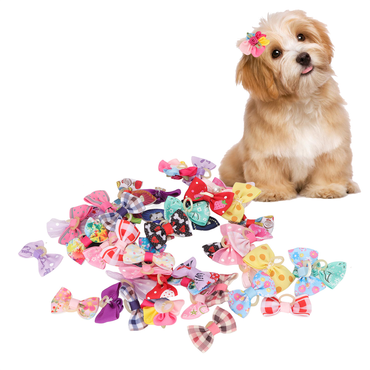 Ein kleiner Hund mit Schleifen und einer Blume auf dem Kopf, umgeben von vielen bunten Schleifen.