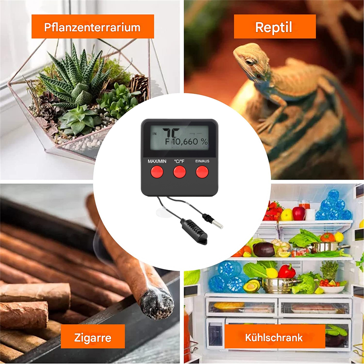 Vier Bilder: Terrarium, Eidechse, Thermometer und Zigarren. Thermometer steht im Mittelpunkt.