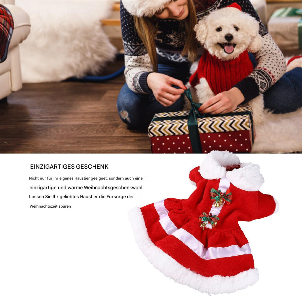 Frau schenkt einem Hund ein rotes Kleid mit weißem Besatz und Schleifen, Weihnachtsmotto.