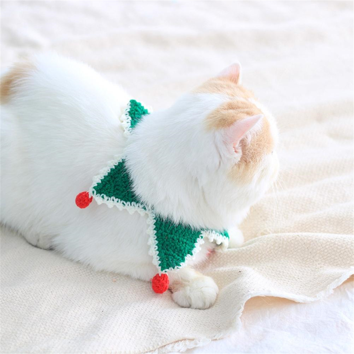 Eine weiße Katze mit grünem und rotem Weihnachtskragen, die auf einer weißen Decke wegschaut.