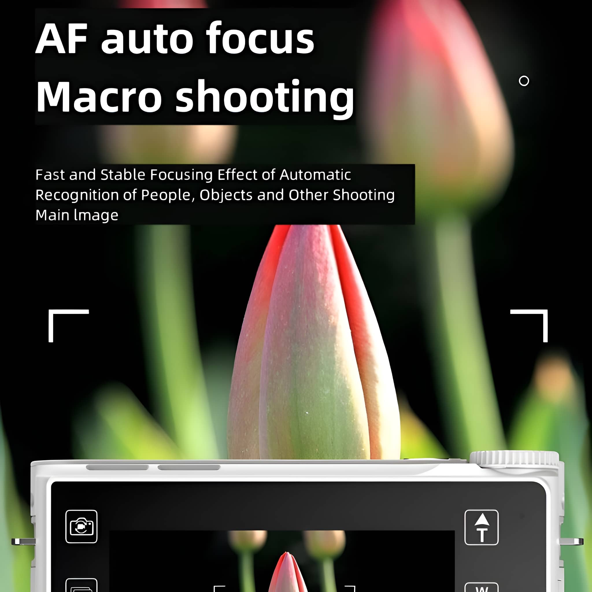 Nahaufnahme einer Kamera, fokussiert auf eine rot-grüne Blume. Text-Overlay: AF-Autofokus-Makroaufnahme.
