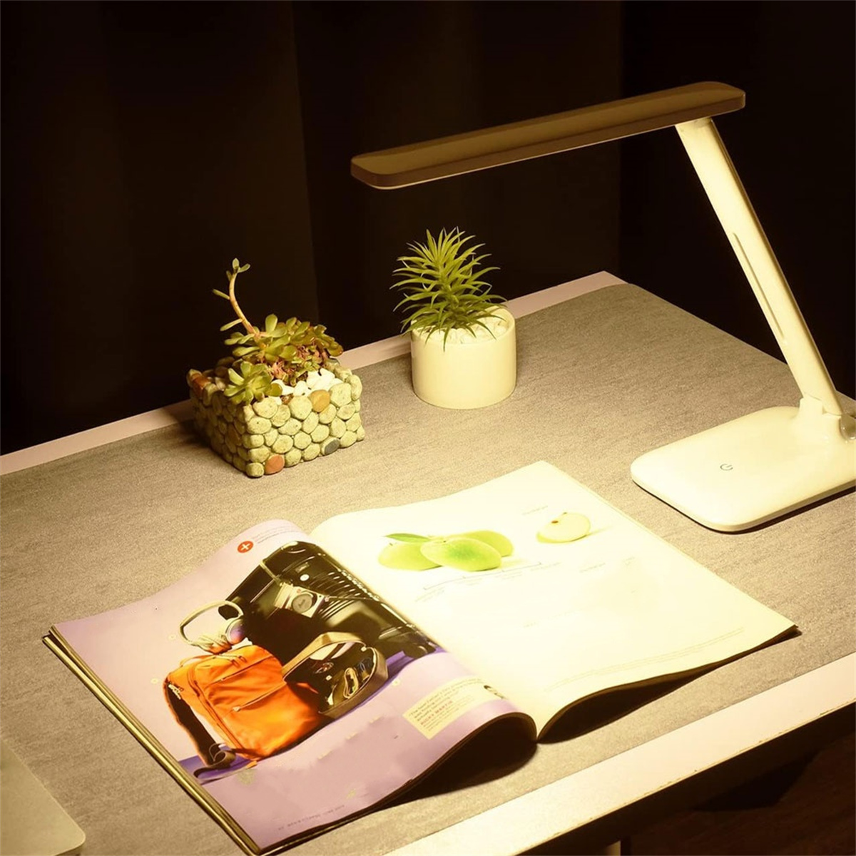 Ein Schreibtisch mit Lampe, Zeitschrift und kleinen Pflanzen. Die Szene wird von der Lampe beleuchtet.