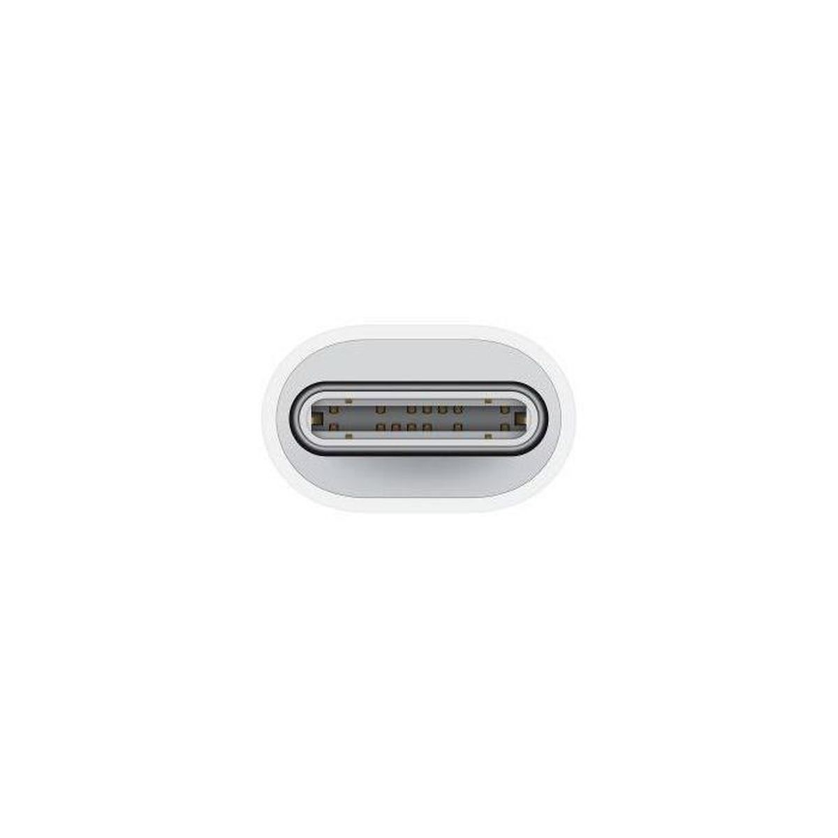 Nahaufnahme eines USB-C-Anschlusses. Es ist ein weißer, oval geformter Stecker mit Metall innen.