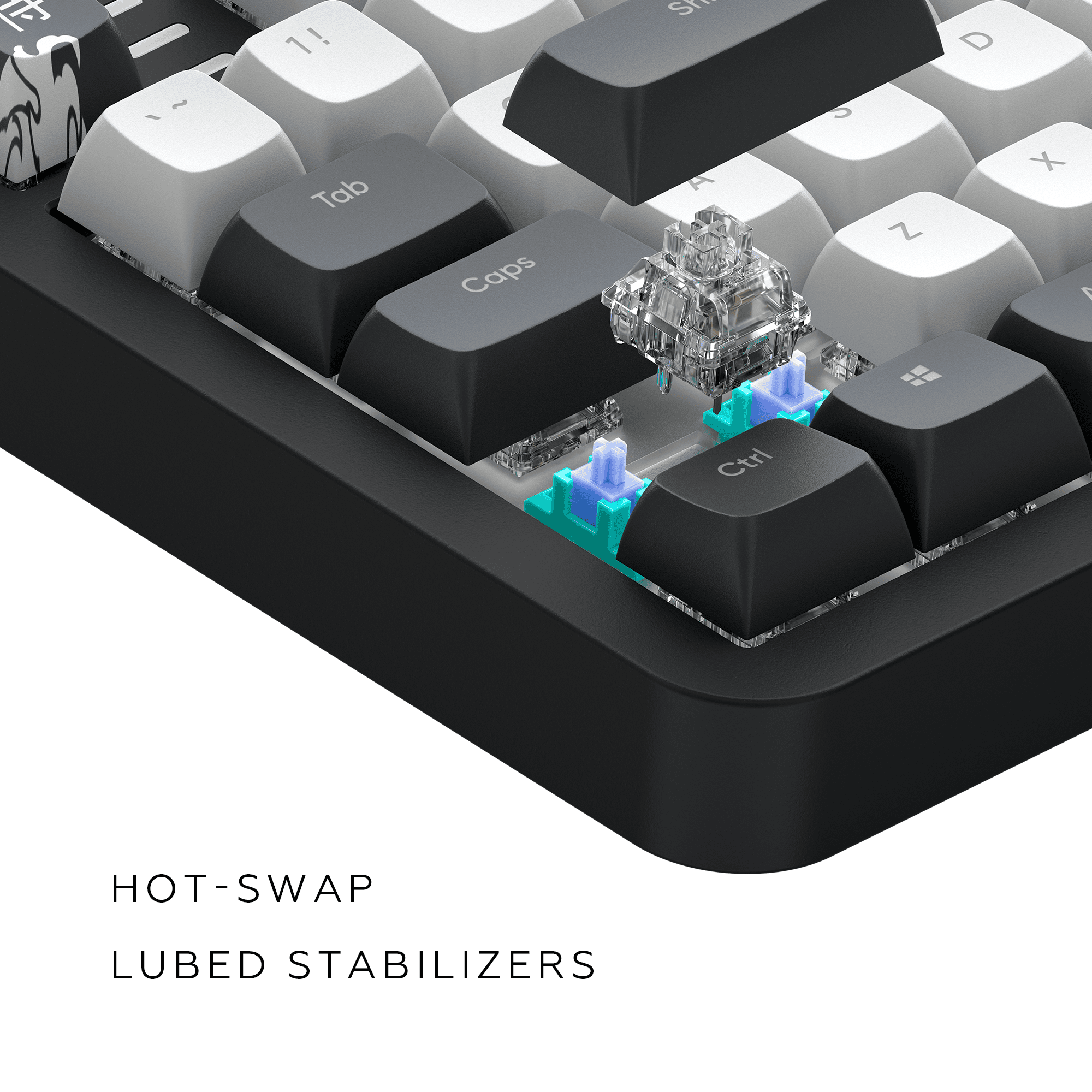 Nahaufnahme einer schwarzen Tastatur mit Tastenkappen, die Hot-Swap- und geschmierte Stabilisatoren zeigen.
