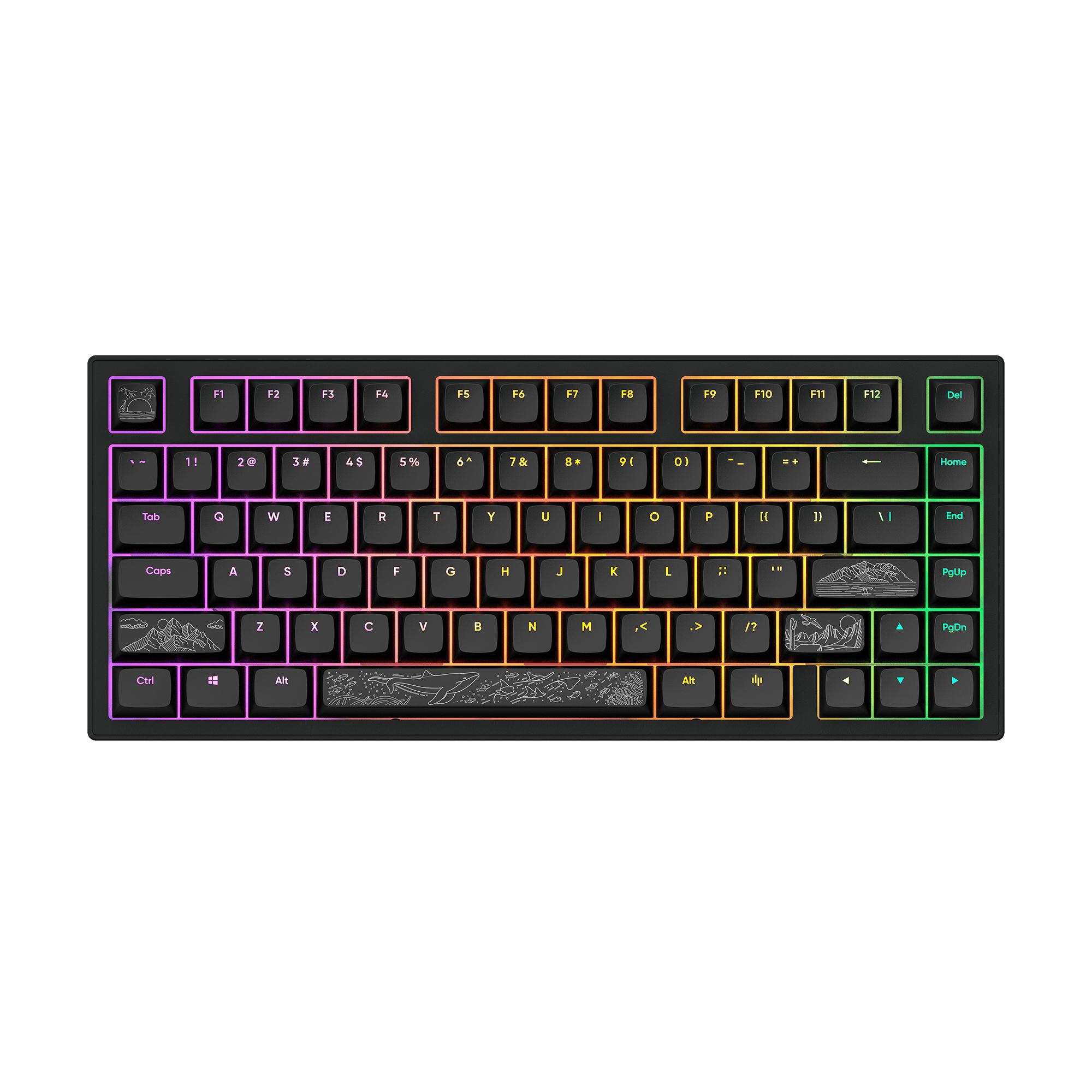 Eine mechanische Tastatur mit farbigen Tasten auf schwarzem Untergrund. Die Tasten haben Lichteffekte.