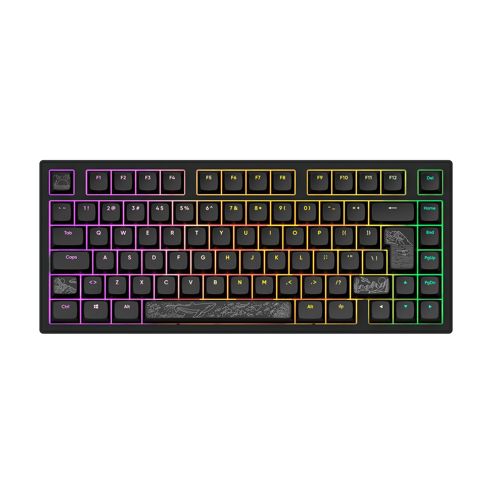 Schwarze mechanische Tastatur mit farbigen beleuchteten Tasten. Die Tasten sind beschriftet.