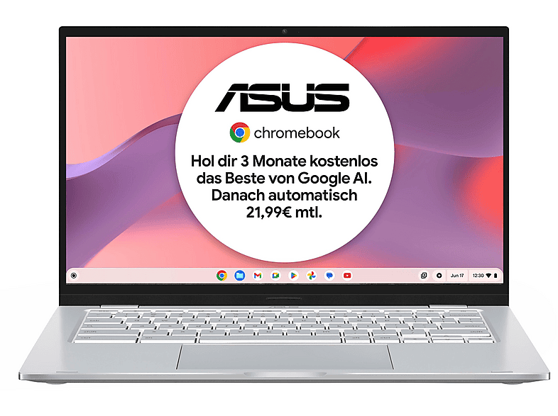ASUS C425TA-H50081 M3-8100Y/8GB/64GB, Chromebook, mit 14 Zoll