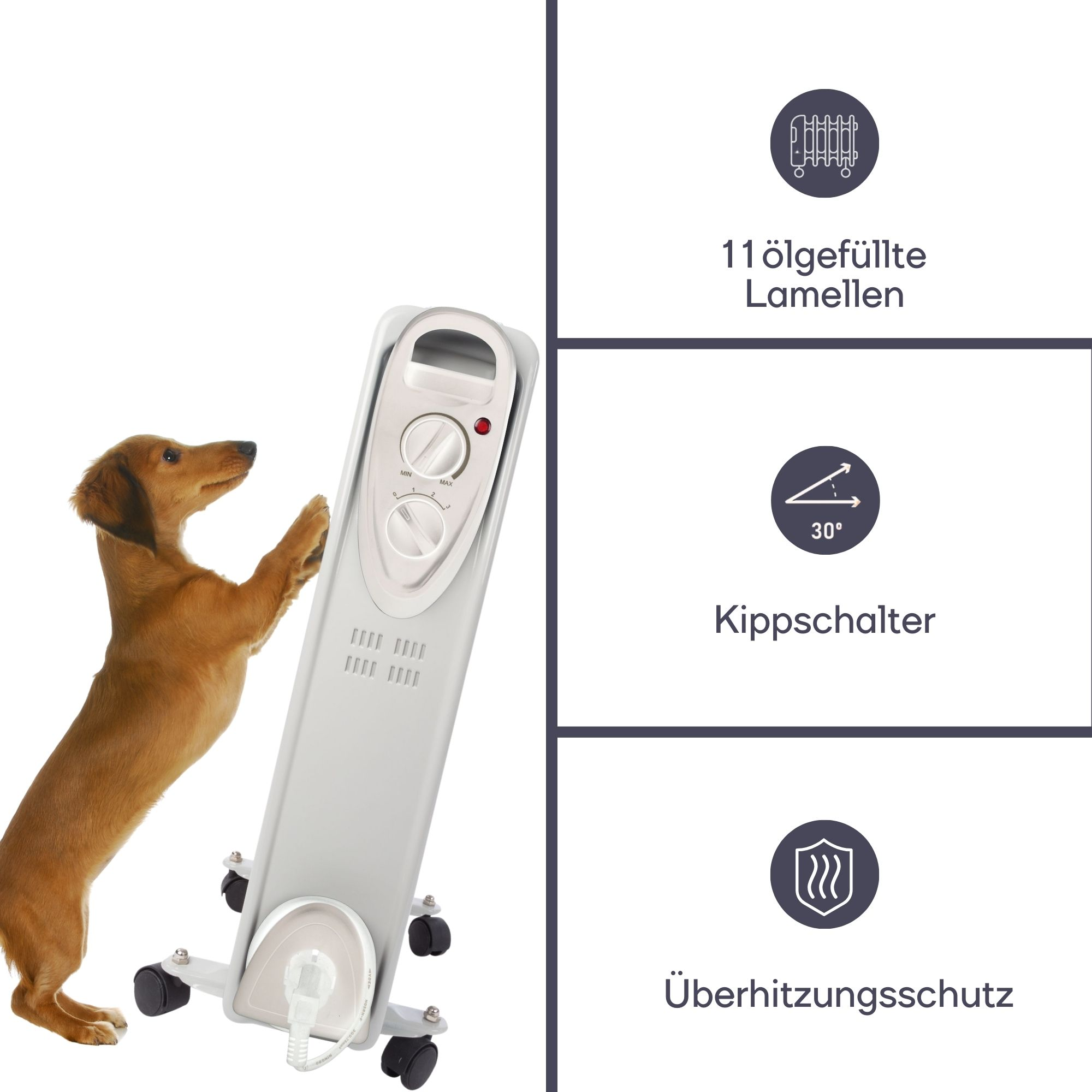 Hund steht neben einem weißen Heizgerät mit Drehreglern und Info-Etiketten rechts.