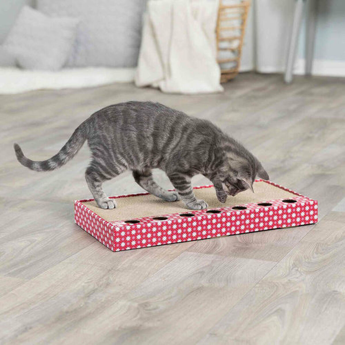 Grau getigerte Katze auf einem rot-weiß gemusterten Kratzbrett. Holzboden-Hintergrund.