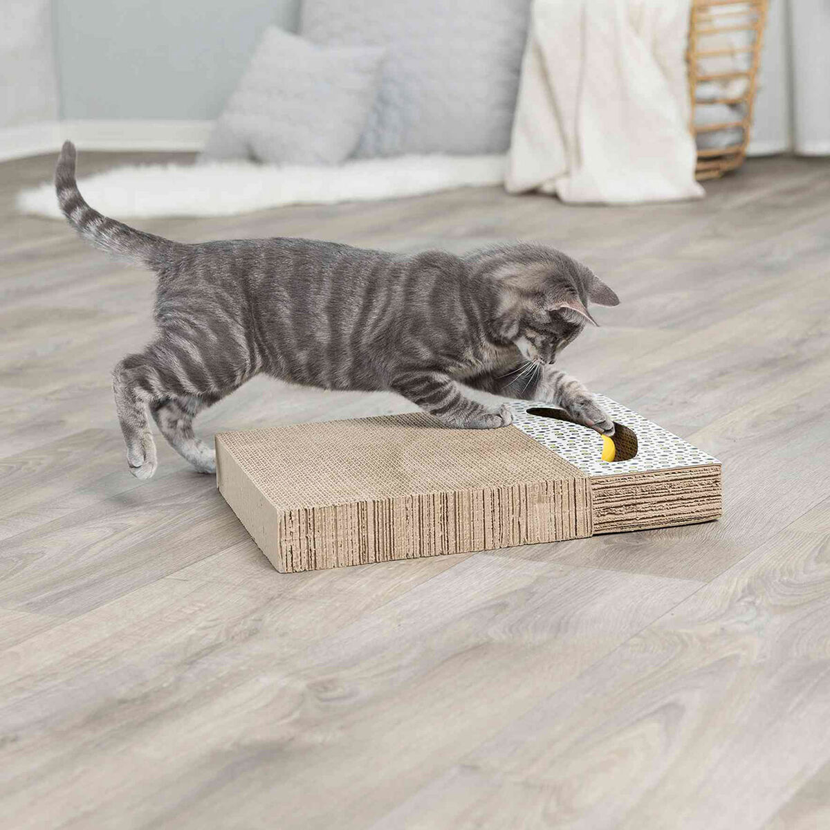 Eine graue Tabby-Katze springt auf einen Kratz-Karton zu. Ein gelbes Spielzeug ist sichtbar.