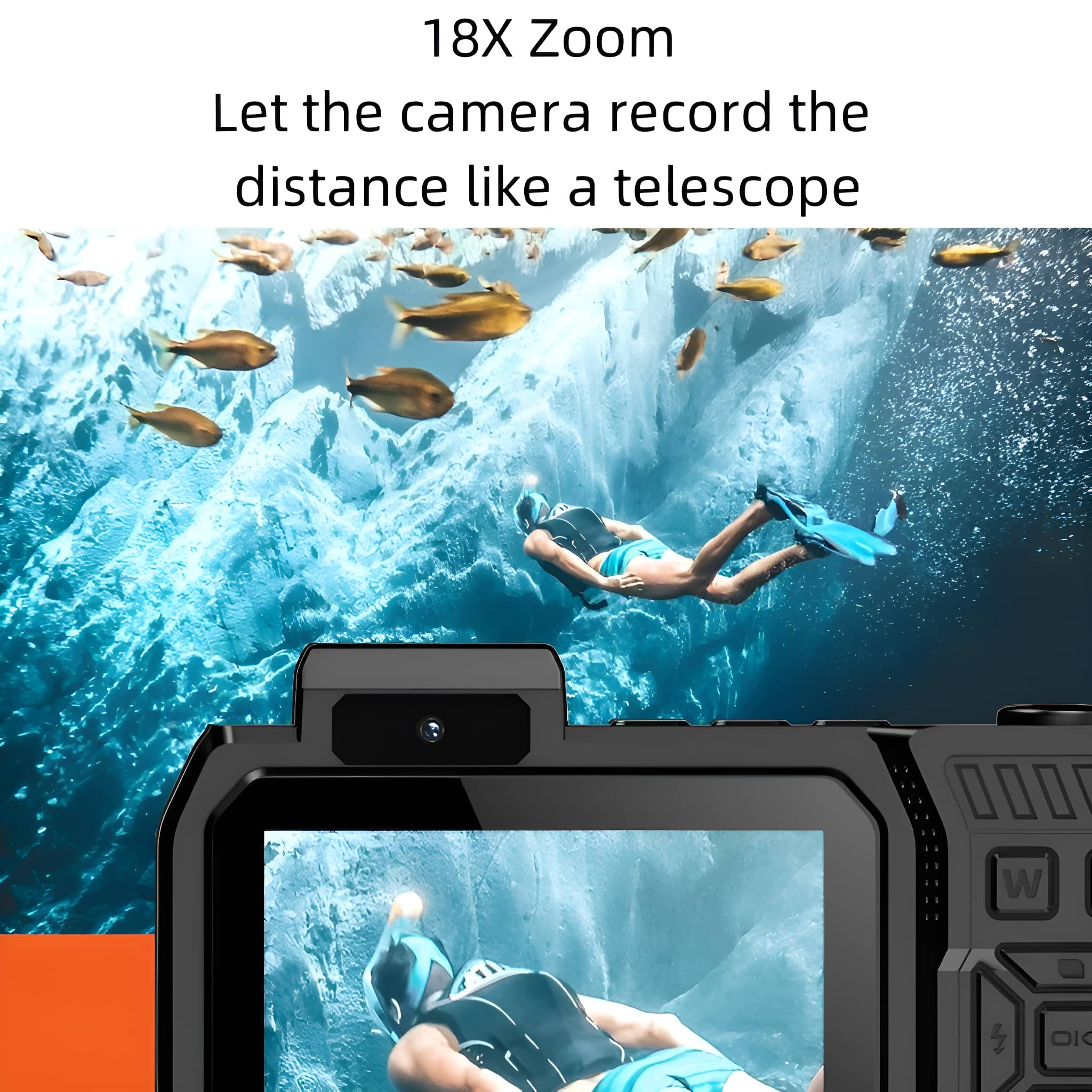 Unterwasserszene, aufgenommen mit Zoom, zeigt Taucher und Fische.