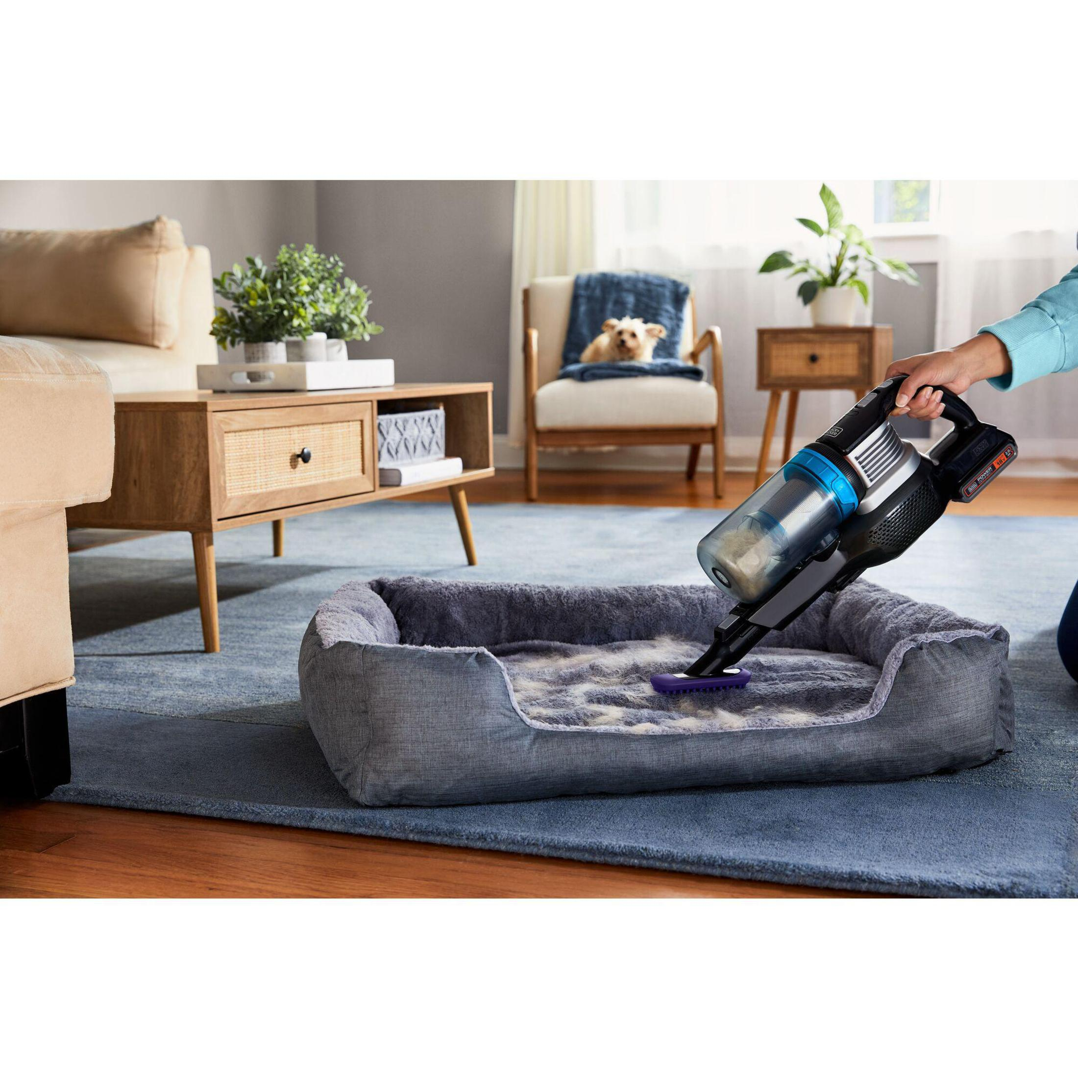 Person saugt Hundebett mit Handstaubsauger, blauer Teppich und Möbel im Hintergrund.