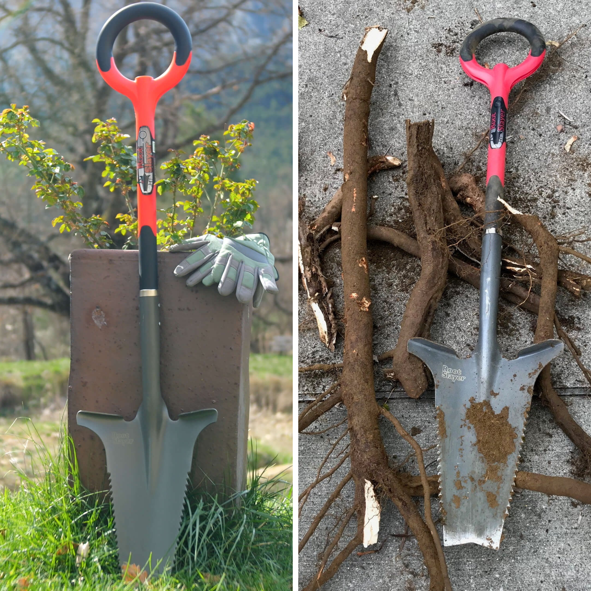 Gartenschaufel und entfernte Wurzeln. Grüner Rasen und Baumhintergrund.