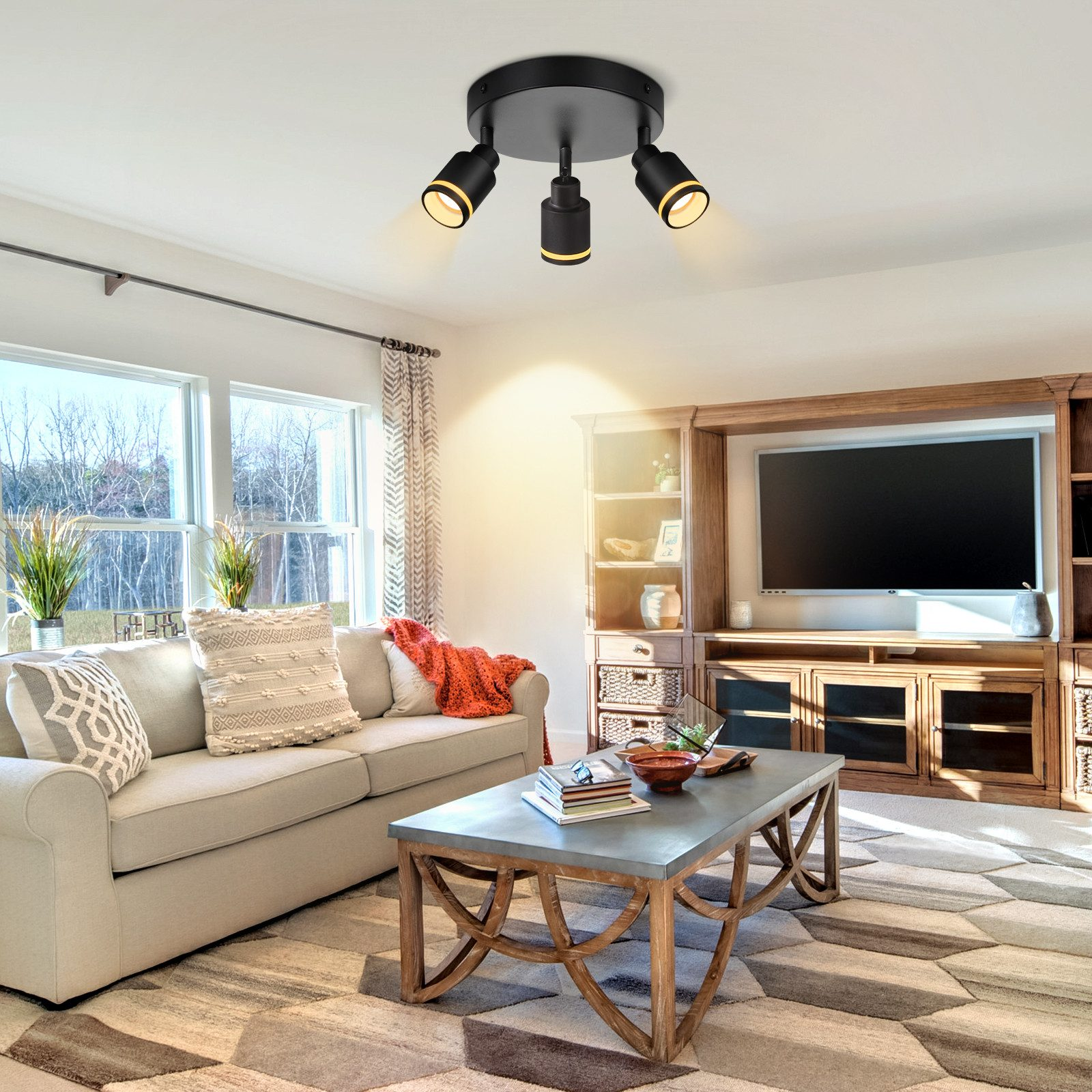 Soggiorno con lampada a soffitto, divano, tavolino e mobile TV.