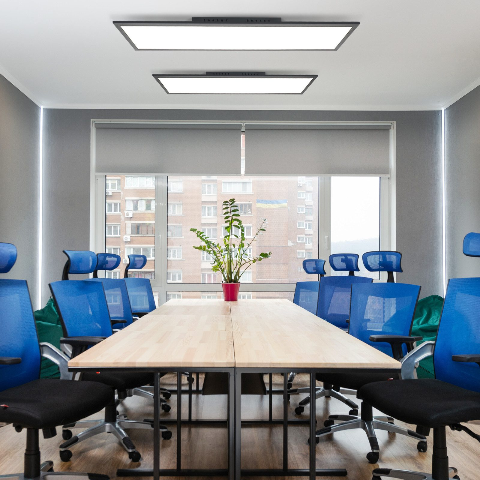 Oficina moderna con sillas azules, mesa larga de madera y una ventana grande. Luces de techo.