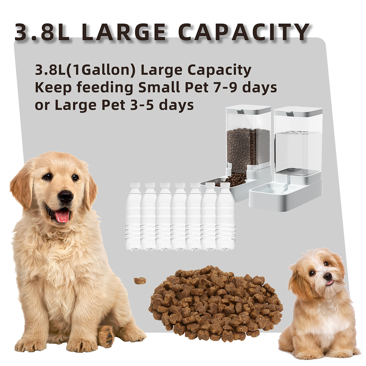 Zwei Hunde, ein Golden Retriever Welpe, ein kleiner Hund, mit Futter- und Wasserspender. Text.