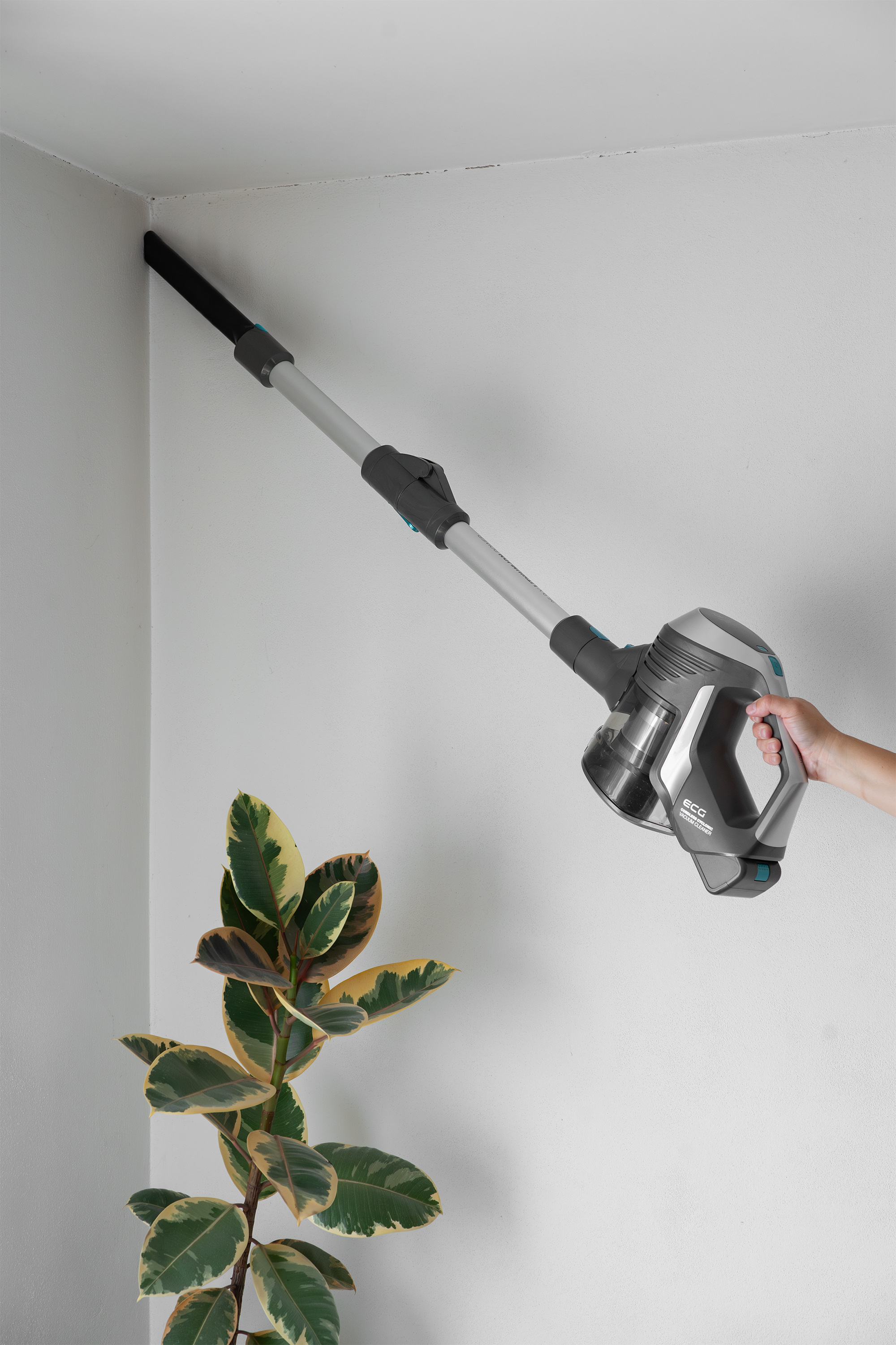 Eine Person, die eine Wandecke mit einem kabellosen Staubsauger absaugt. Eine blättrige Pflanze befindet sich neben der Wand.