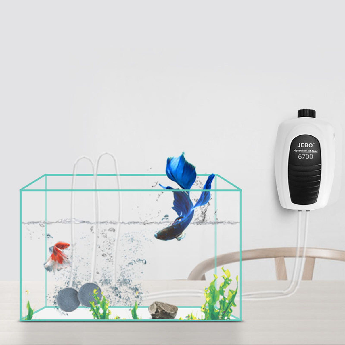 Fische in einem Aquarium mit Luftpumpe und Dekorationen. Zwei Fische sind rot und blau.