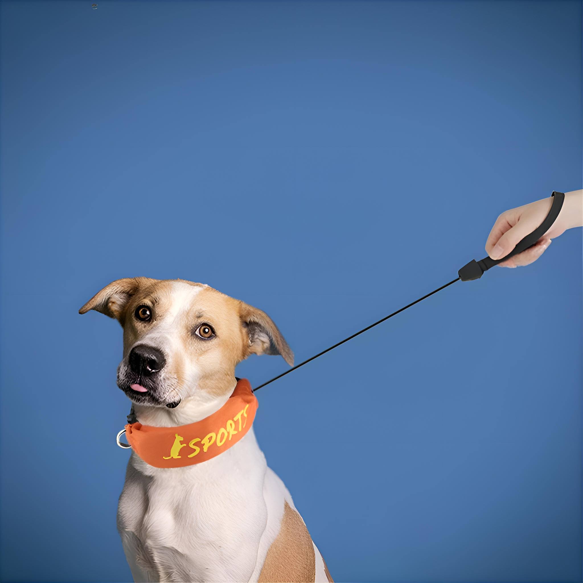 wilderness hundefutter junior OWNAT ULTRA MAXI JUNIOR  Nourrir comme la nature