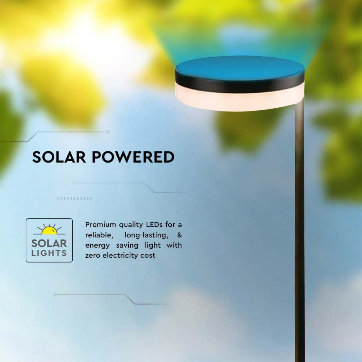 Luce a energia solare su un palo. Testo: A energia solare e descrizione delle luci solari.